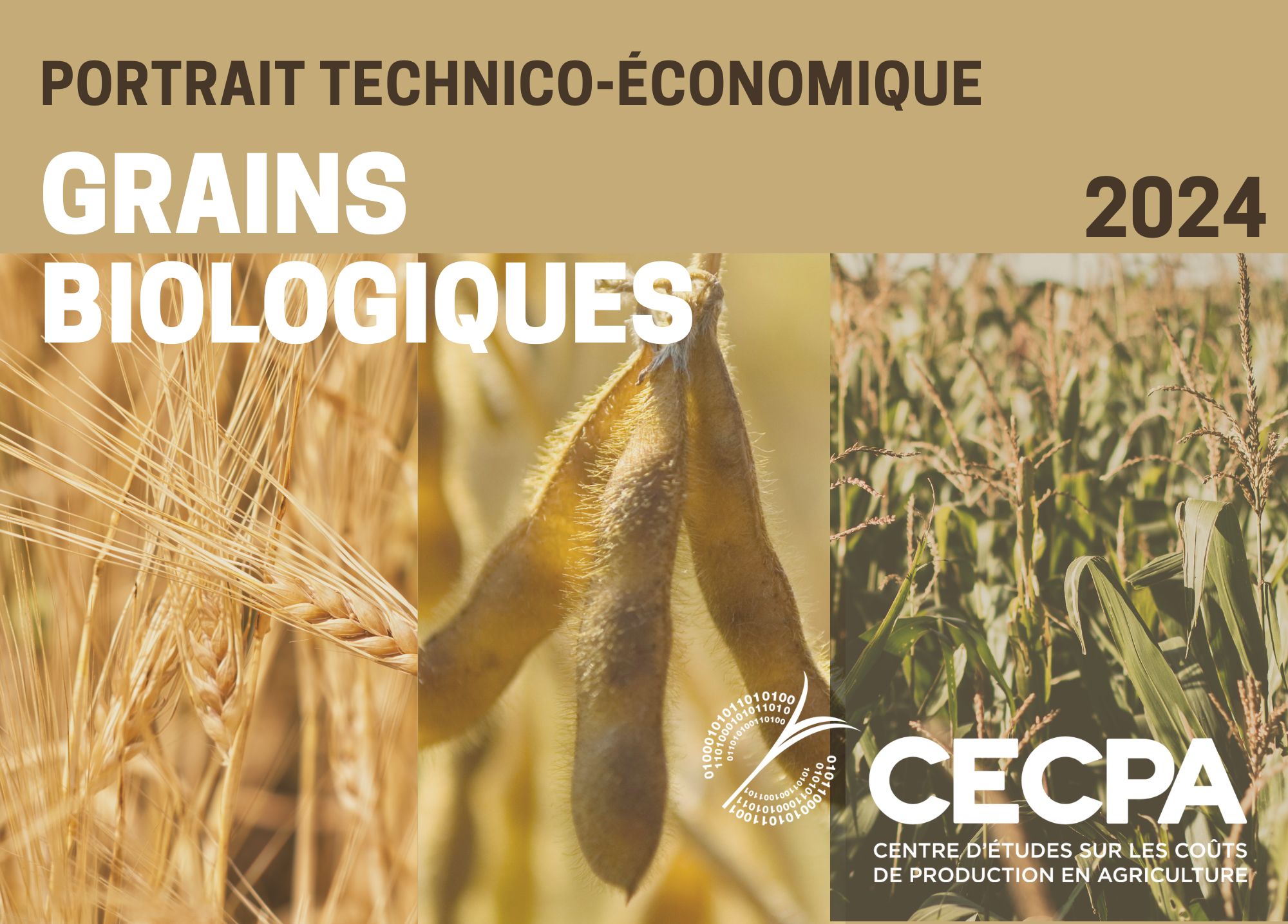 étude : PORTRAIT TECHNICO-ÉCONOMIQUE - GRAINS BIOLOGIQUES 2024